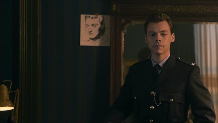 Harry Styles Netflix